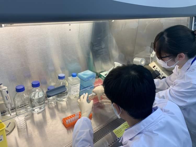 澳门最精准真正最精准龙门客栈,警惕虚假宣传,定量解答解释落实