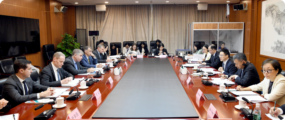 澳门一马一肖一特一中，全面释义、专家解答解释落实